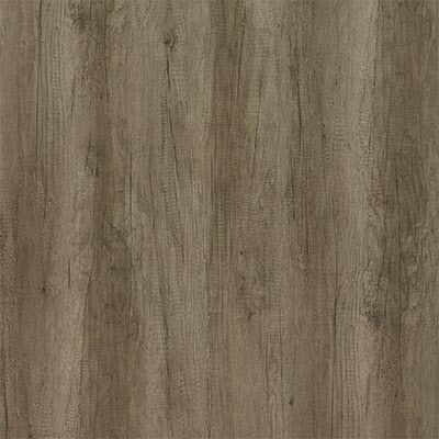 Sanipa Solo One Euphoria/Harmonia Anbauregal 40 x 52 cm