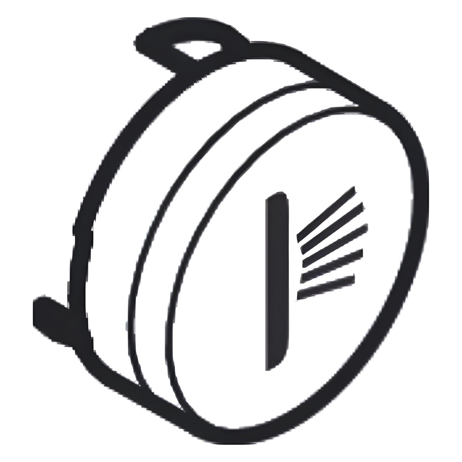 hansgrohe ShowerSelect Symbol Seitenbrause