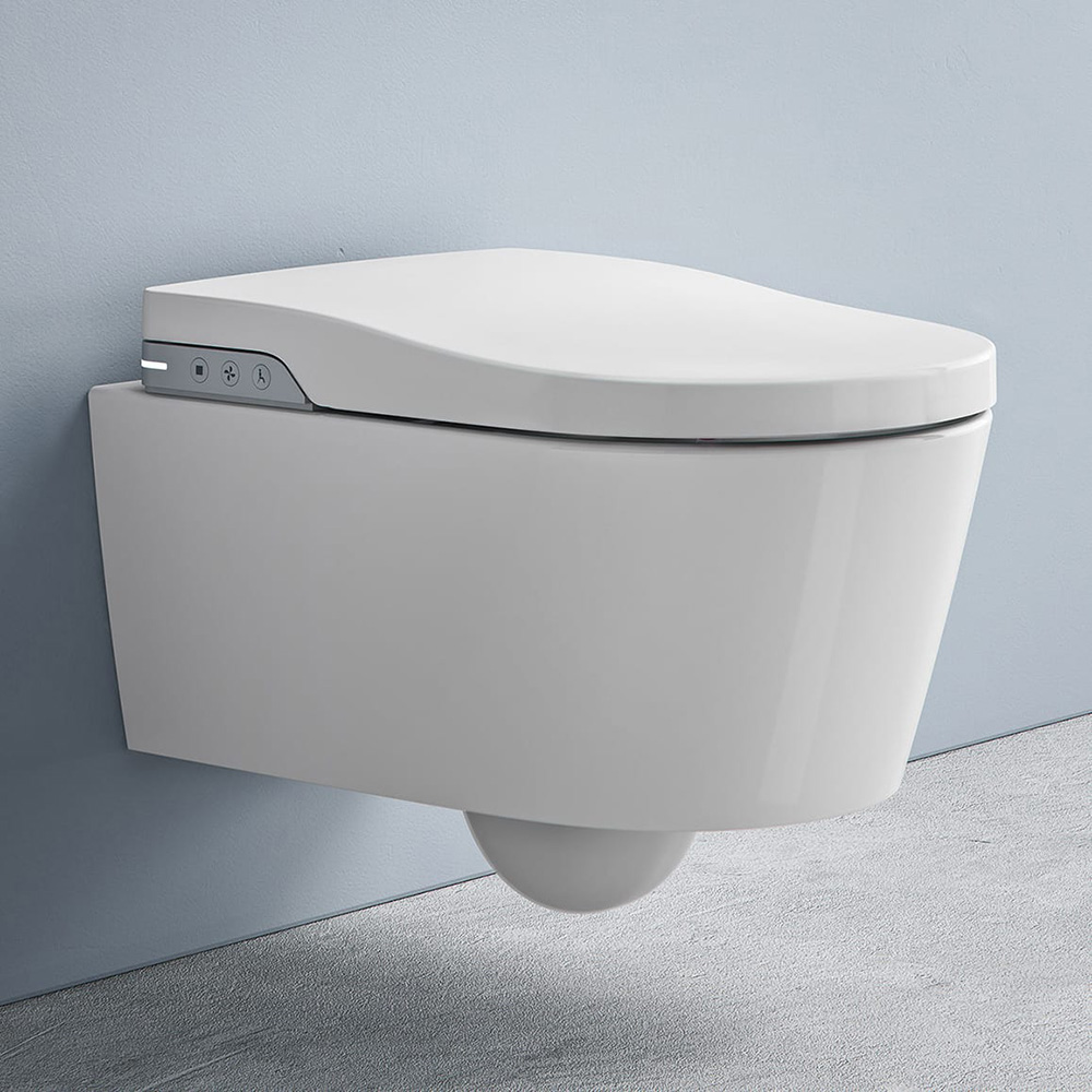 Das Richtige Dusch Wc Fur Mich